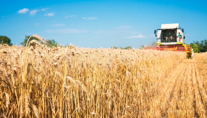 un tracteur dans un champ