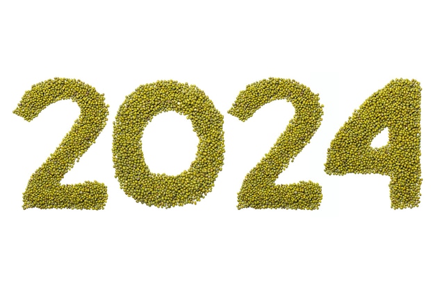 duster 2024