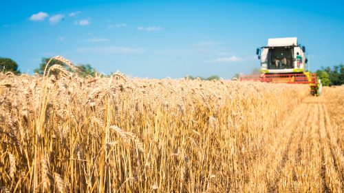 un tracteur dans un champ